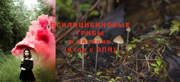 гидропоника Липки