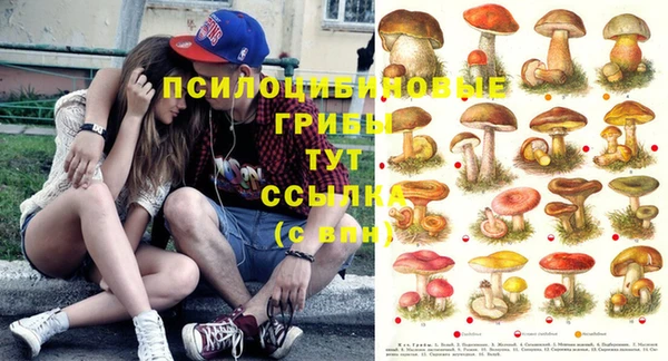 гидропоника Липки