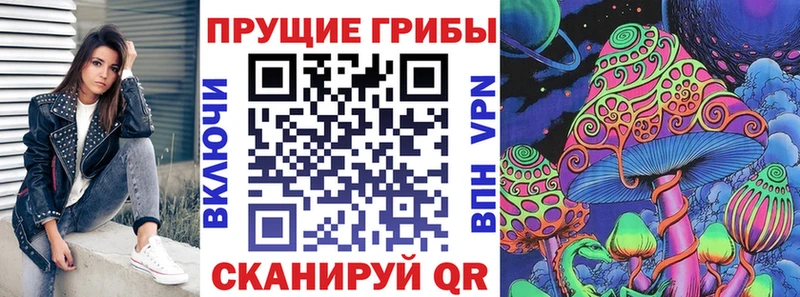 Купить где  Можга  Галлюциногенные грибы мицелий 